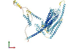 AlphaFold protein structure predicition of Human Recombinant TMC1 Protein, UniprotID Q8TDI8