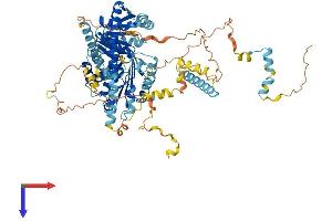 AlphaFold protein structure predicition of Mouse Recombinant Ddx27 Protein, UniprotID Q921N6