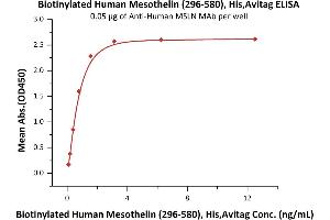 Immobilized A MSLN MAb at 0.