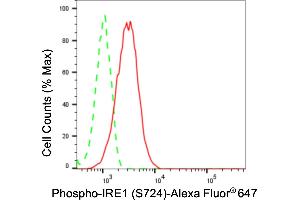 Flow cytometric analysis of phospho-IRE1 (S724) expression in HT- cells using phospho-IRE1 (S724) antibody (ABIN7798443), 1:2,000). (Recombinant ERN1 anticorps  (pSer724))