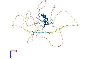 AlphaFold protein structure predicition of Mouse Recombinant Foxg1 Protein, UniprotID Q60987