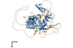 AlphaFold protein structure predicition of Human Recombinant RECQL4 Protein, UniprotID O94761