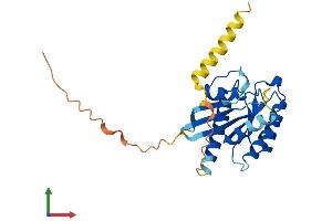 AlphaFold protein structure predicition of Mouse Recombinant Rasl11a Protein, UniprotID Q6IMB1