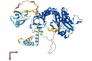 AlphaFold protein structure predicition of Mouse Recombinant Mpp2 Protein, UniprotID Q9WV34