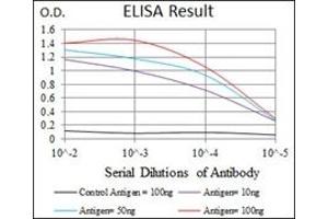 ELISA image for anti-BPI Fold Containing Family A, Member 2 (BPIFA2) antibody (ABIN1109128)