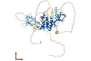 AlphaFold protein structure predicition of Human Recombinant RAF1 Protein, UniprotID P04049