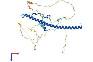 AlphaFold protein structure predicition of Mouse Recombinant Dbp Protein, UniprotID Q60925