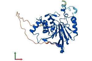 AlphaFold protein structure predicition of Mouse Recombinant Mpped1 Protein, UniprotID Q91ZG2