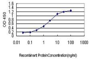 Detection limit for recombinant GST tagged RP6-213H19.