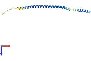 AlphaFold protein structure predicition of Mouse Recombinant Bet1 Protein, UniprotID O35623