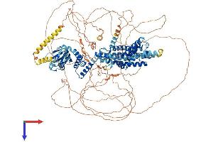 AlphaFold protein structure predicition of Mouse Recombinant Hcn4 Protein, UniprotID O70507
