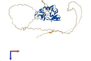 AlphaFold protein structure predicition of Mouse Recombinant Rnf146 Protein, UniprotID Q9CZW6