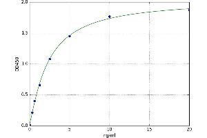 A typical standard curve (GPER Kit ELISA)