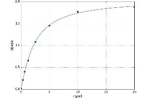 G Protein-Coupled Estrogen Receptor 1 (GPER) ELISA Kit