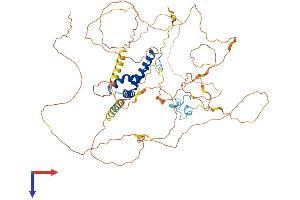 AlphaFold protein structure predicition of Human Recombinant TCF7L2 Protein, UniprotID Q9NQB0