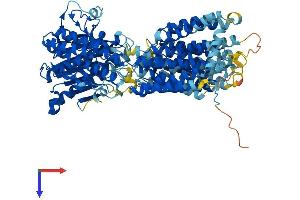 AlphaFold protein structure predicition of Mouse Recombinant Pign Protein, UniprotID Q9R1S3