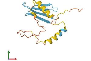 AlphaFold protein structure predicition of Human Recombinant PMS2P5 Protein, UniprotID A8MQ11