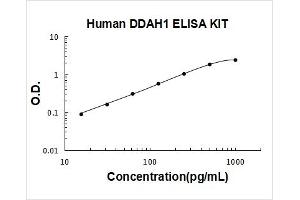 Typical Standard Curve
