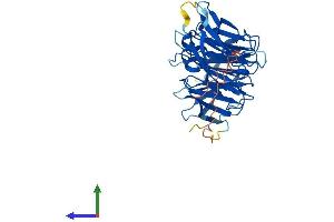 AlphaFold protein structure predicition of Mouse Recombinant Seh1l Protein, UniprotID Q8R2U0