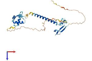 AlphaFold protein structure predicition of Mouse Recombinant E2f6 Protein, UniprotID O54917