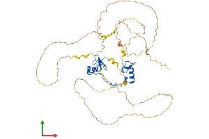 AlphaFold protein structure predicition of Human Recombinant GATA4 Protein, UniprotID P43694