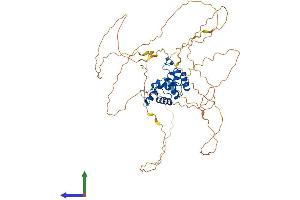 AlphaFold protein structure predicition of Human Recombinant PAX1 Protein, UniprotID P15863