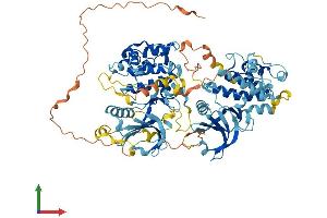 AlphaFold protein structure predicition of Human Recombinant RPS6KA6 Protein, UniprotID Q9UK32