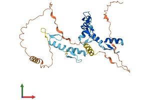 AlphaFold protein structure predicition of Mouse Recombinant Gfi1b Protein, UniprotID O70237