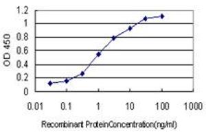 Detection limit for recombinant GST tagged CDK5RAP3 is approximately 0. (CDK5RAP3 anticorps  (AA 1-506))