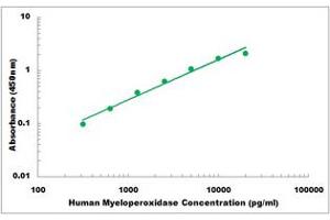 Representative Standard Curve (Myeloperoxidase Kit ELISA)