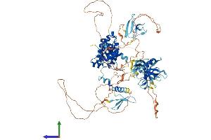 AlphaFold protein structure predicition of Mouse Recombinant Arhgap27 Protein, UniprotID A2AB59