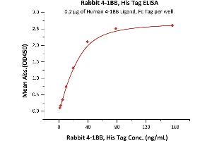 Immobilized Human 4-1BB Ligand, Fc Tag (ABIN2870602,ABIN2870603) at 2 μg/mL (100 μL/well) can bind Rabbit 4-1BB, His Tag (ABIN6731240,ABIN6809852) with a linear range of 1-39 ng/mL (QC tested).
