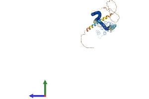 AlphaFold protein structure predicition of Human Recombinant CARD9 Protein, UniprotID Q9H257