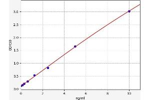Typical standard curve (Solute Carrier Family 17 (Acidic Sugar Transporter), Member 5 (SLC17A5) Kit ELISA)