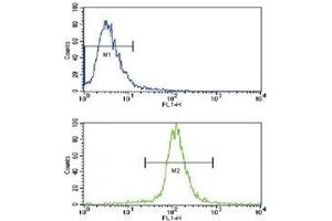 Flow cytometric analysis of NCI-H460 cells using anti-Caspase-3 antibody (bottom histogram) compared to a negative control cell (top histogram).