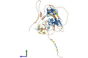 AlphaFold protein structure predicition of Mouse Recombinant Peg10 Protein, UniprotID Q7TN75