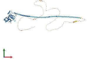 AlphaFold protein structure predicition of Human Recombinant AKAP17A Protein, UniprotID Q02040