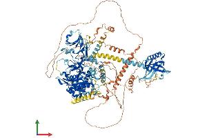 AlphaFold protein structure predicition of Mouse Recombinant Inpp5f Protein, UniprotID Q8CDA1