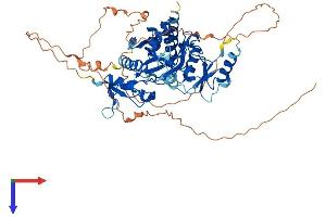 AlphaFold protein structure predicition of Human Recombinant TTLL2 Protein, UniprotID Q9BWV7