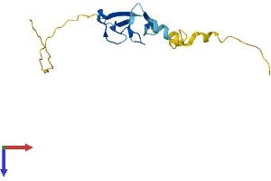 AlphaFold protein structure predicition of Mouse Recombinant Limd2 Protein, UniprotID Q8BGB5