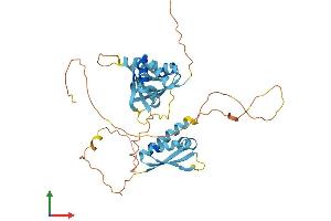 AlphaFold protein structure predicition of Mouse Recombinant Pcbp4 Protein, UniprotID P57724