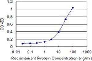 Detection limit for recombinant GST tagged MKNK1 is 0.