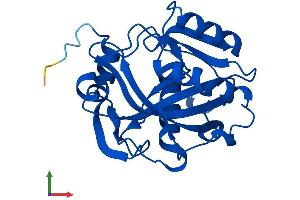 AlphaFold protein structure predicition of Mouse Recombinant Idi1 Protein, UniprotID P58044