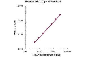 ELISA image for Neurotrophic Tyrosine Kinase, Receptor, Type 1 (NTRK1) ELISA Kit (ABIN3199233)