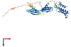 AlphaFold protein structure predicition of Human Recombinant PRKRA Protein, UniprotID O75569
