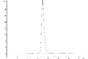 Size-exclusion chromatography-High Pressure Liquid Chromatography (SEC-HPLC) image for Poliovirus Receptor (PVR) (AA 21-343) protein (Fc Tag,Biotin) (ABIN7274072)