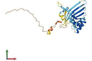 AlphaFold protein structure predicition of Mouse Recombinant Apobec2 Protein, UniprotID Q9WV35