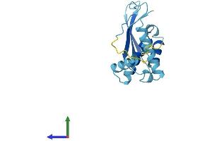 AlphaFold protein structure predicition of Mouse Recombinant Cep19 Protein, UniprotID Q9CQA8