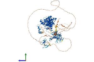AlphaFold protein structure predicition of Mouse Recombinant Arhgap12 Protein, UniprotID Q8C0D4