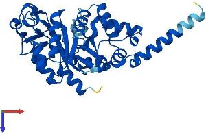 AlphaFold protein structure predicition of Mouse Recombinant Gdpd1 Protein, UniprotID Q9CRY7